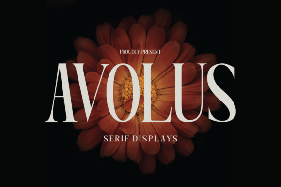 Avolus Display Font Review: Why This Typeface Belongs in Your Brand Toolkit